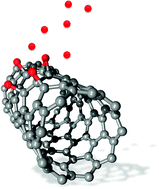 Graphical abstract: Modelling of the reactivity and stability of carbon nanotubes under environmentally relevant conditions