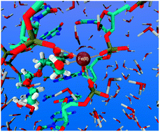 Graphical abstract: Stability and iron coordination in DNA adducts of Anthracycline based anti-cancer drugs