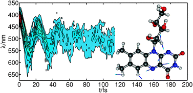 Graphical abstract: Non-adiabatic excited state dynamics of riboflavin after photoexcitation