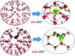 Graphical abstract: Hydroxyl radicals in ice: insights into local structure and dynamics