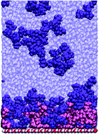 Graphical abstract: Properties of water in the interfacial region of a polyelectrolyte bilayer adsorbed onto a substrate studied by computer simulations