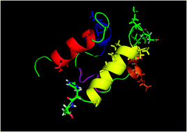 Graphical abstract: The C-terminal sterile alpha motif (SAM) domain of human p73 is a highly dynamic protein, which acquires high thermal stability through a decrease in backbone flexibility