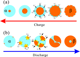 Graphical abstract: An unsymmetrical lithium-ion pathway between charge and discharge processes in a two-phase stage of Li4Ti5O12