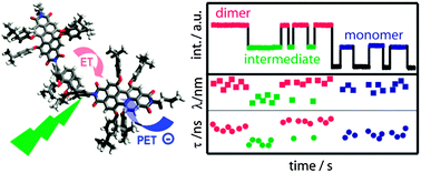 Graphical abstract: Single molecule studies of calix[4]arene-linked perylene bisimide dimers: relationship between blinking, lifetime and/or spectral fluctuations