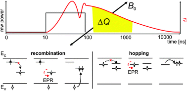 Graphical abstract: Pulsed electrically detected magnetic resonance for thin film silicon and organic solar cells