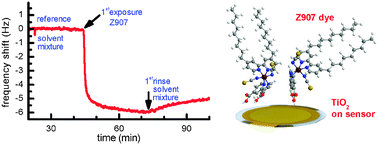 Graphical abstract: In situ investigation of dye adsorption on TiO2 films using a quartz crystal microbalance with a dissipation technique