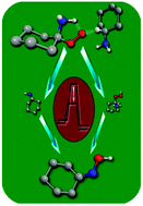 Graphical abstract: Reactivity of α-amino-peroxyl radicals and consequences for amine oxidation chemistry