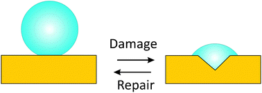 Graphical abstract: Self-healing superhydrophobic materials