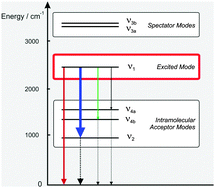 Graphical abstract: Vibrational energy relaxation of the ND-stretching vibration of NH2D in liquid NH3