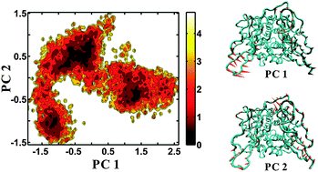 Graphical abstract: Molecular dynamics simulations of wild type and mutants of human complement receptor 2 complexed with C3d