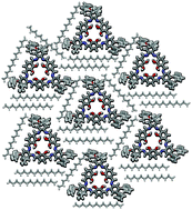 Graphical abstract: Self-assembly of a catechol-based macrocycle at the liquid–solid interface: experiments and molecular dynamics simulations