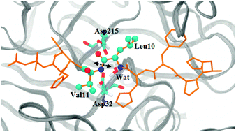 Graphical abstract: The catalytic mechanism of mouse renin studied with QM/MM calculations