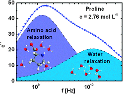 Graphical abstract: Dielectric spectroscopy in the GHz region on fully hydrated zwitterionic amino acids