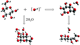 Graphical abstract: Interaction and reaction of the hydroxyl ion with β-d-galactose and its hydrated complex: an ab initio molecular dynamics study