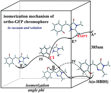 Graphical abstract: Theoretical studies on the isomerization mechanism of the ortho-green fluorescent protein chromophore