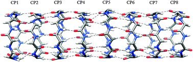 Graphical abstract: Structure and stability of cyclic peptide based nanotubes: a molecular dynamics study of the influence of amino acid composition