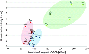 Graphical abstract: Cross-talk between amino acid residues and flavonoid derivatives: insights into their chemical recognition