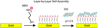 Graphical abstract: Electrochemical reduction of graphene oxide and its in situ spectroelectrochemical characterization