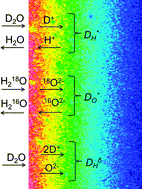 Graphical abstract: Determination of proton- and oxide ion tracer diffusion in lanthanum tungstate (La/W = 5.6) by means of ToF-SIMS