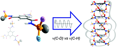 Graphical abstract: The origin of isotope-induced helical-sense bias in supramolecular polymers of benzene-1,3,5-tricarboxamides