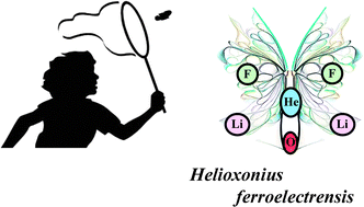 Graphical abstract: A metastable He–O bond inside a ferroelectric molecular cavity: (HeO)(LiF)2