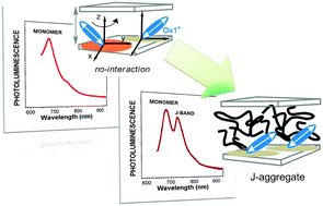 Graphical abstract: Oxazine-1 J-aggregates in polymer nanohybrids