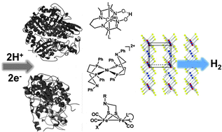 Graphical abstract: Proton reduction to hydrogen in biological and chemical systems