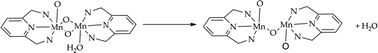 Graphical abstract: Structural rearrangements and reaction intermediates in a di-Mn water oxidation catalyst