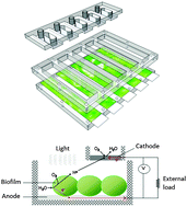 Graphical abstract: Surface morphology and surface energy of anode materials influence power outputs in a multi-channel mediatorless bio-photovoltaic (BPV) system