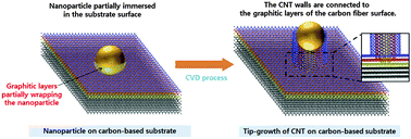 Graphical abstract: Factors governing the growth mode of carbon nanotubes on carbon-based substrates