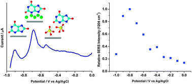 Graphical abstract: Electrochemical-surface enhanced Raman spectroscopy (E-SERS) of uric acid: a potential rapid diagnostic method for early preeclampsia detection