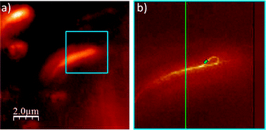 Graphical abstract: Perspectives on Raman spectroscopy of graphene-based systems: from the perfect two-dimensional surface to charcoal