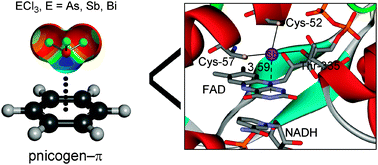 Graphical abstract: Pnicogen–π complexes: theoretical study and biological implications