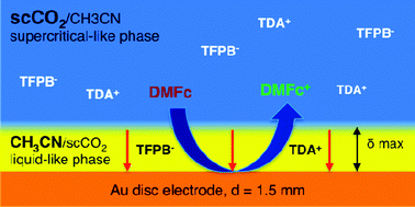 Graphical abstract: Steady-state macroscale voltammetry in a supercritical carbon dioxide medium