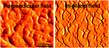 Graphical abstract: Quantitative analysis of the magnetic domain structure in polycrystalline La0.7Sr0.3MnO3 thin films by magnetic force microscopy