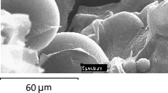 Graphical abstract: Activated carbons and carbon-containing poly(vinyl alcohol) cryogels: characterization, protein adsorption and possibility of myoglobin clearance