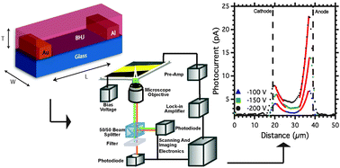 Graphical abstract: Scanning photocurrent microscopy of lateral organic bulk heterojunctions