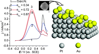Graphical abstract: Enhancing the activity and tuning the mechanism of formic acid oxidation at tetrahexahedral Pt nanocrystals by Au decoration