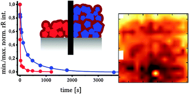 Graphical abstract: Resonance-Raman microspectroscopy for quality assurance of dye-sensitized NiOx films with respect to dye desorption kinetics in water