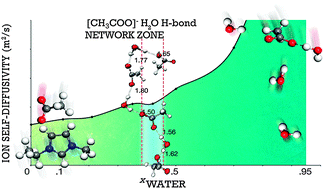 Graphical abstract: Theoretical and experimental studies of water interaction in acetate based ionic liquids