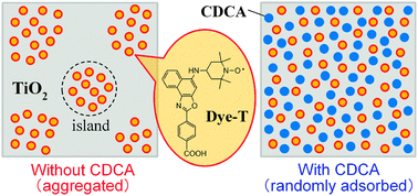 Graphical abstract: Intermolecular distances of carboxylated TEMPO derivatives on TiO2 evaluated by spin-probe ESR