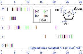 Graphical abstract: Structural flexibility of DNA-like conformers of canonical 2′-deoxyribonucleosides