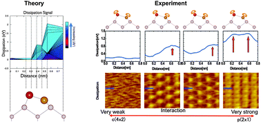 Graphical abstract: Complex design of dissipation signals in non-contact atomic force microscopy