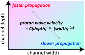 Graphical abstract: Microchannel-induced change of chemical wave propagation dynamics: importance of ratio between the inlet and the channel sizes