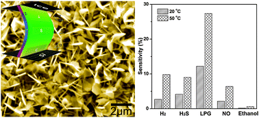 Graphical abstract: CdO nanosheet film with a (200)-preferred orientation with sensitivity to liquefied petroleum gas (LPG) at low-temperatures