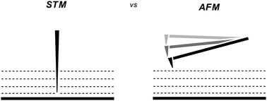 Graphical abstract: The structure and formation of hydrogen-bonded molecular networks on Au(111) surfaces revealed by scanning tunnelling and torsional-tapping atomic force microscopy