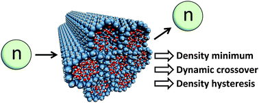 Graphical abstract: Deeply-cooled water under strong confinement: neutron scattering investigations and the liquid–liquid critical point hypothesis