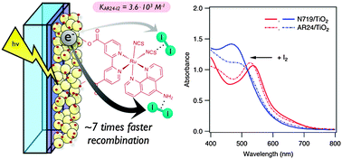 Graphical abstract: Measured binding coefficients for iodine and ruthenium dyes; implications for recombination in dye sensitised solar cells