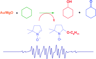 Graphical abstract: Cyclohexane oxidation using Au/MgO: an investigation of the reaction mechanism