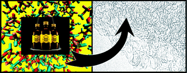 Graphical abstract: Screening of carbonaceous nanoporous materials for capture of nerve agents